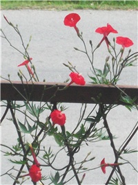 dd771279-Picture 002.jpg